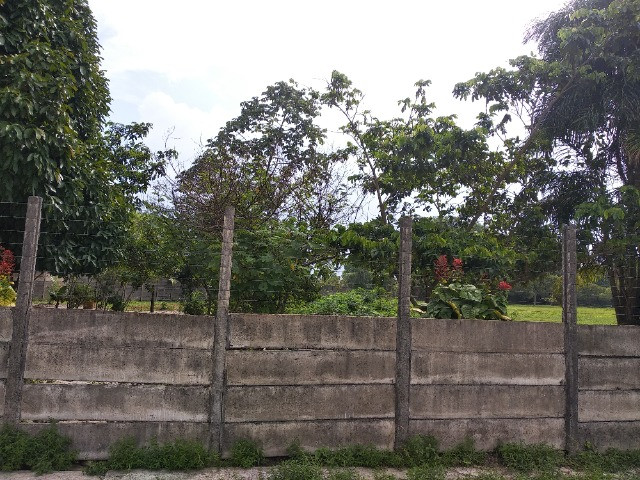 Terreno 21.000m2* próximo a BR 316 em Marituba - Foto 12