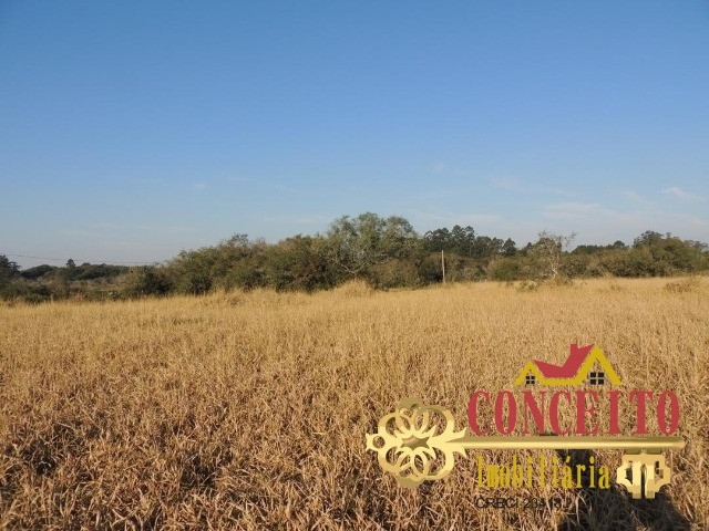 Excelente sítio com 30.000m² e benfeitoria nova - Confira - Foto 14