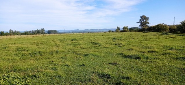 Fazenda 51 Hectares, santo Antônio da patrulha   - Foto 4