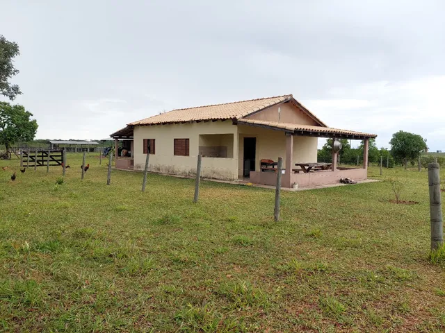 Fazenda de 183 Hectares Camapuã Ms!