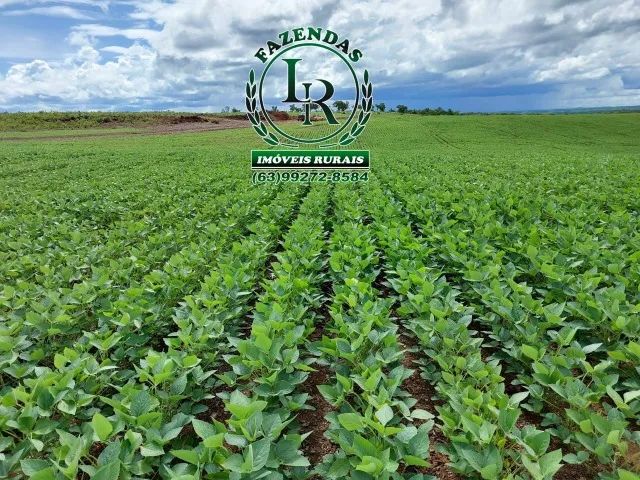 Fazenda 400 alqueires Plantando Próximo de Palmas - Foto 5