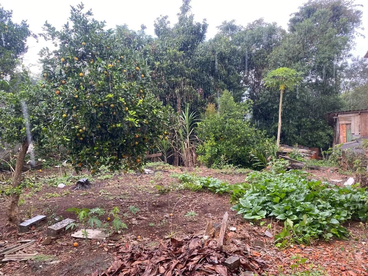 Casa a venda ou troca  - Foto 4