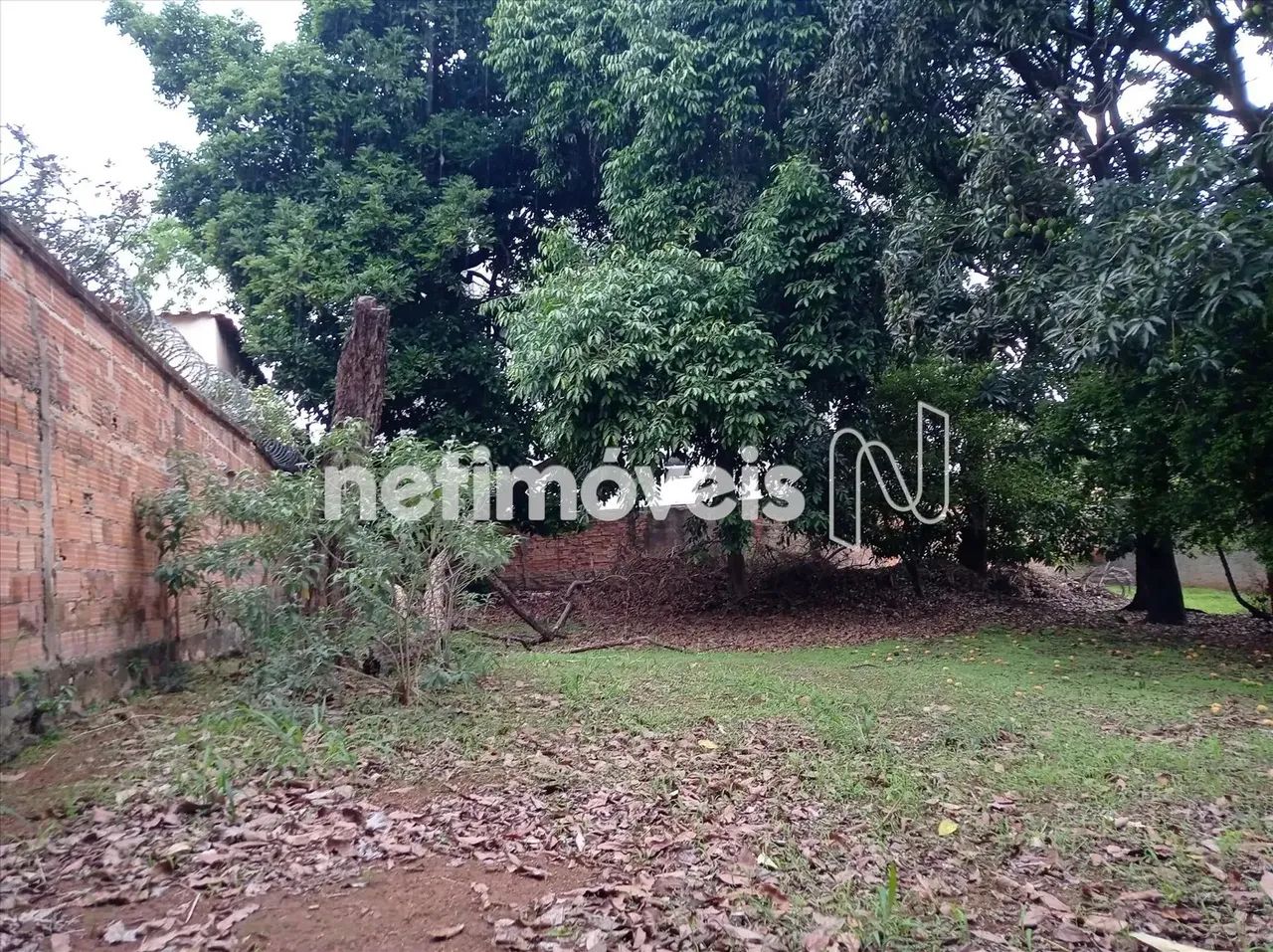 Venda Lote-Área-Terreno Visconde do Rio Branco Belo Horizonte - Foto 2