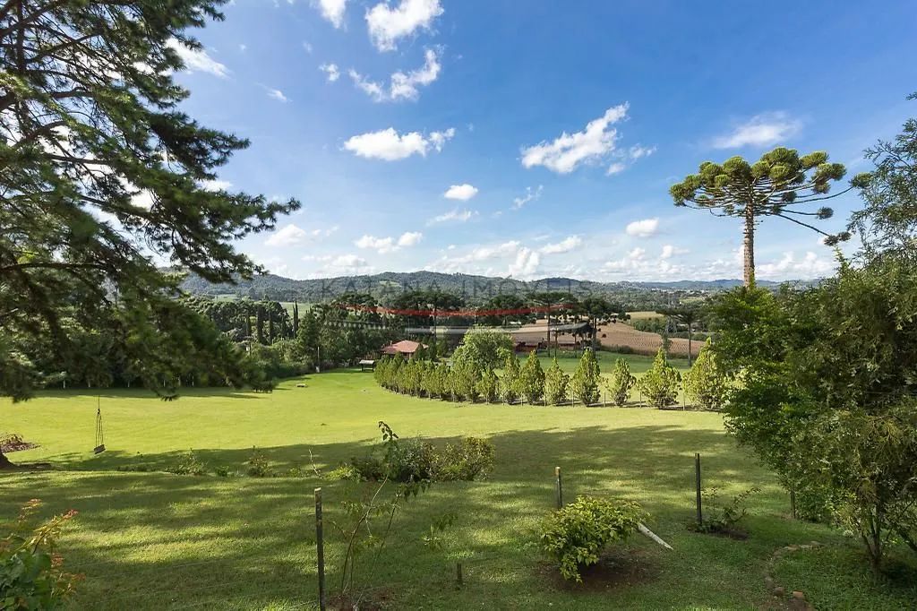 Chácara com 4 dormitórios à venda, 92000 m² por R$ 5.500.000,00 - Jardim Formosa - Almiran - Foto 5