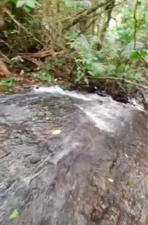 Oportunidade! Sítio Recanto da Cachoeira, um Paraíso. - Foto 12