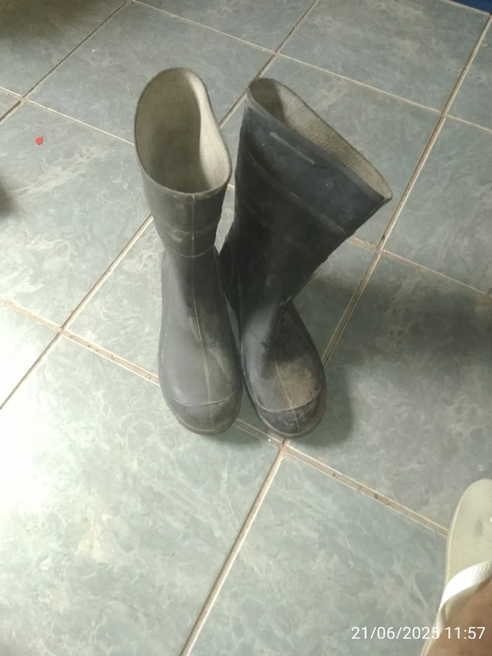 Botas de Borracha - Perfeitas para diversas atividades!