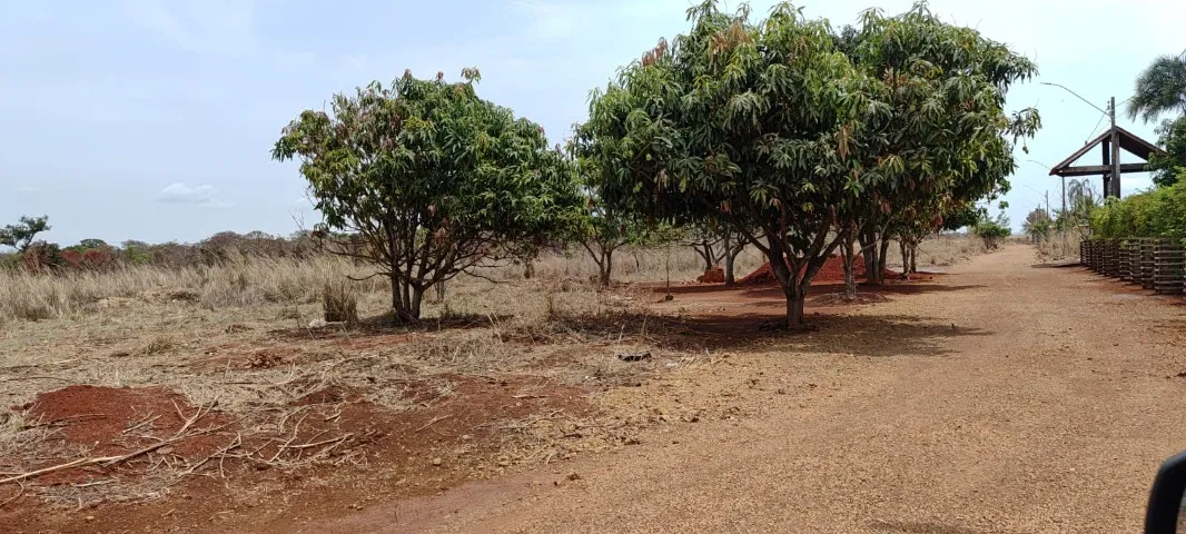 Chácara 5,000 m² (Oportunidade Única)