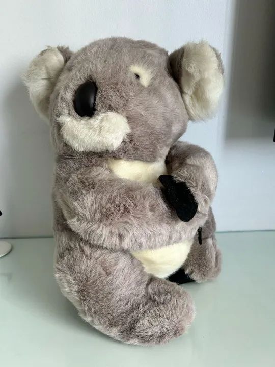 Koala de Pelúcia- Busch Gardens 