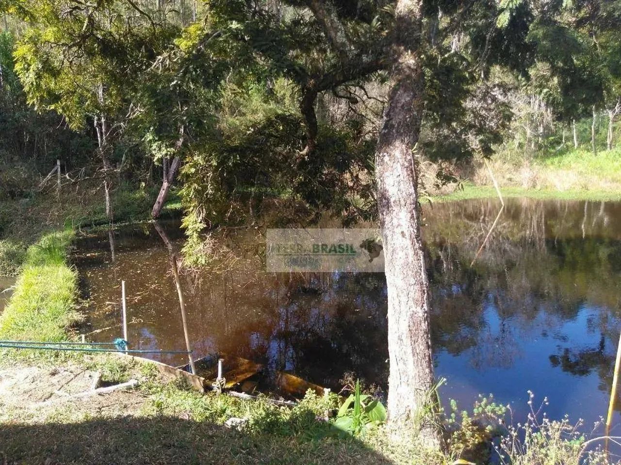Sítio à venda, 41000 m² por R$ 500.000,00 - Cachoeirinha - Bom Jesus dos Perdões/SP - Foto 5