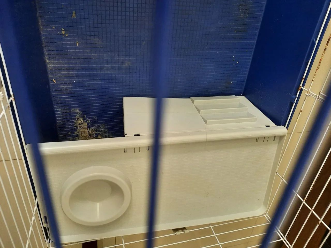 Gaiola roedores - Foto 6