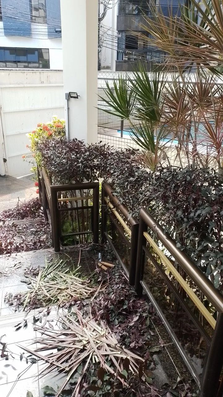 JARDINEIRO PROFISSIONAL  - Foto 5
