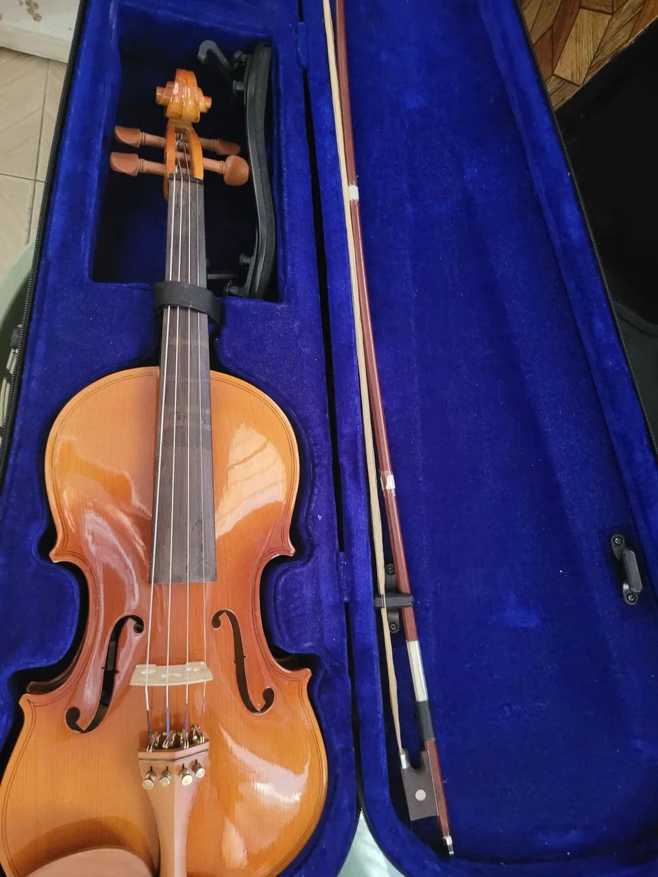 Violino e Arco em Estojo