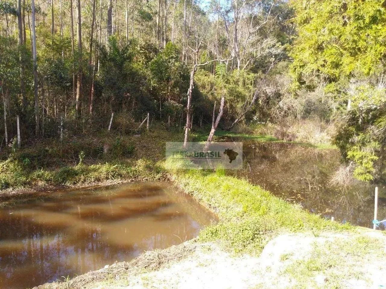 Sítio à venda, 41000 m² por R$ 500.000,00 - Cachoeirinha - Bom Jesus dos Perdões/SP - Foto 2