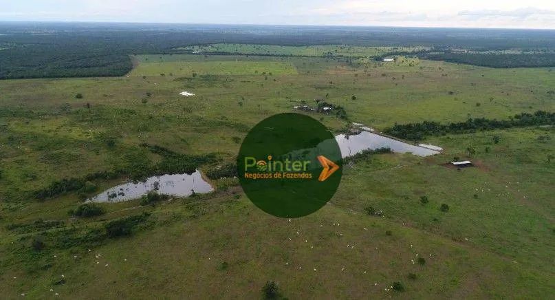 Fazenda à venda, por R$ 22.000.000 - Zona Rural - Duerê/TO - Foto 5