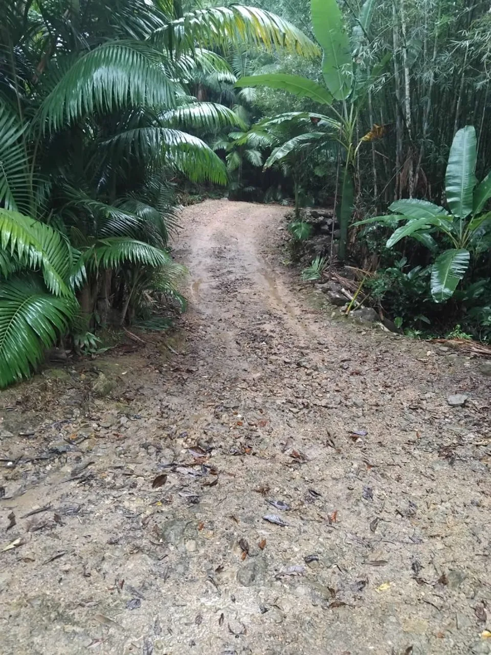 Vende-se sítio em Jaraguá do Sul - Garibaldi