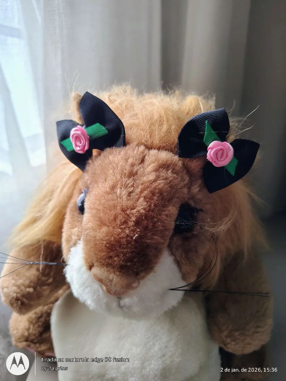 Lacinho Pet - Foto 4