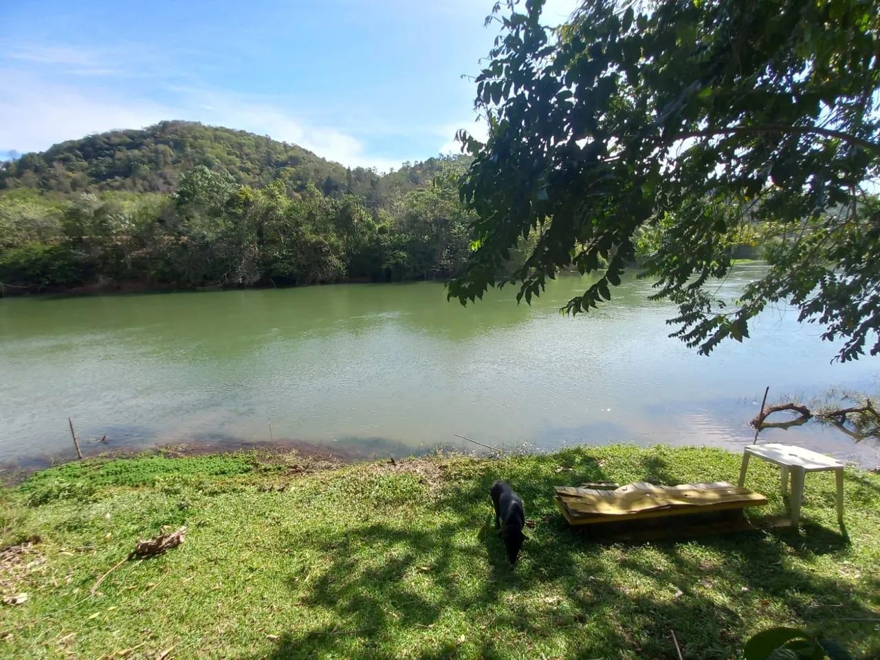 Alugo chácara  - Foto 5
