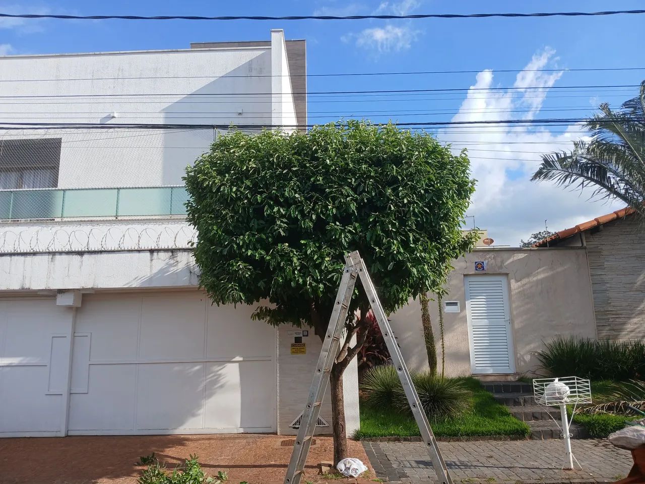 Jardineiro  - Foto 2