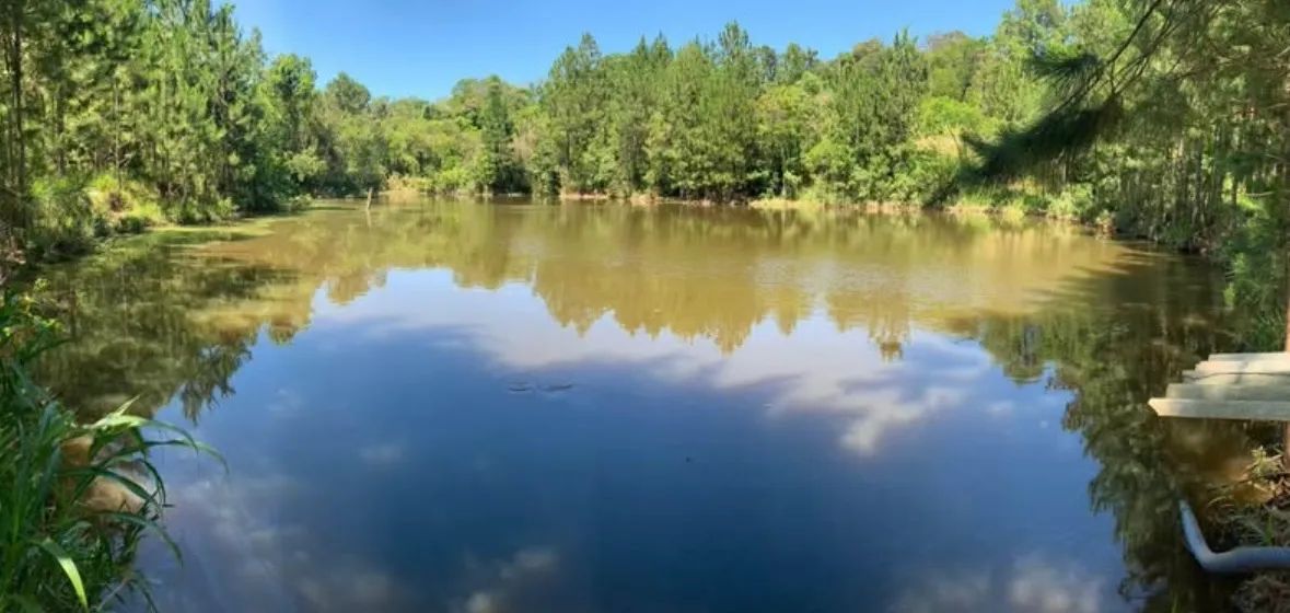 Sítio 8 alqueire em Tamarana  - Foto 3