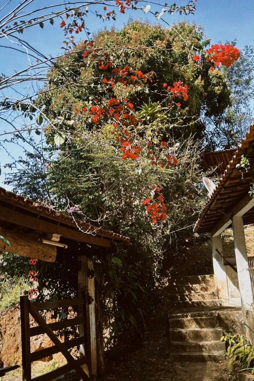 Sitio em Bomfim - Foto 5