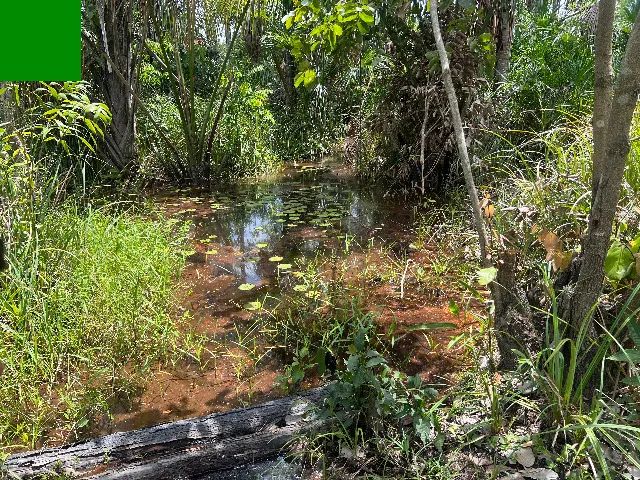 Sítio 24 Hectares - Urbano Santos