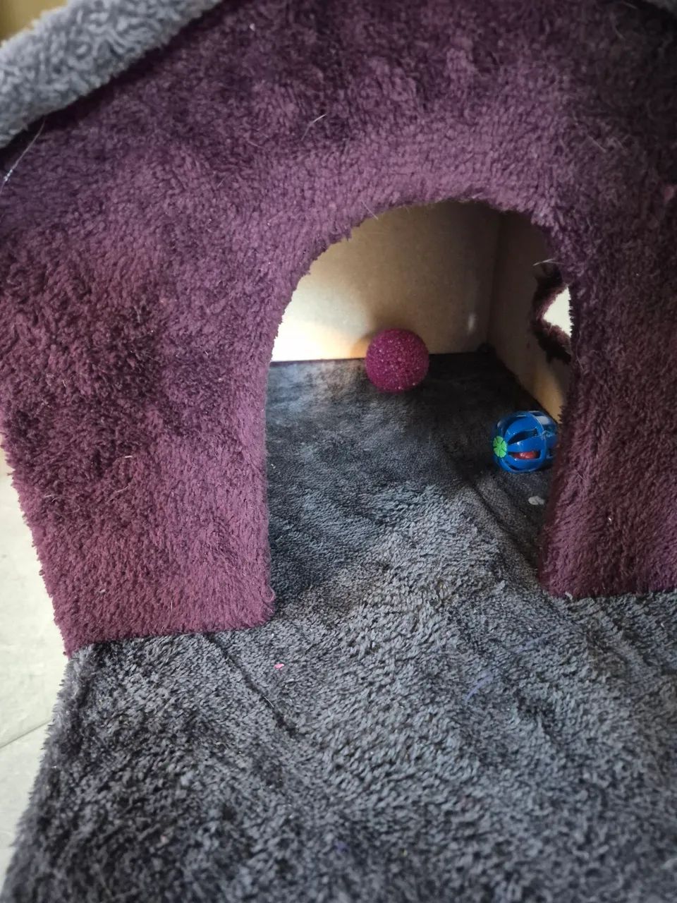 Casinha de gato - Foto 2