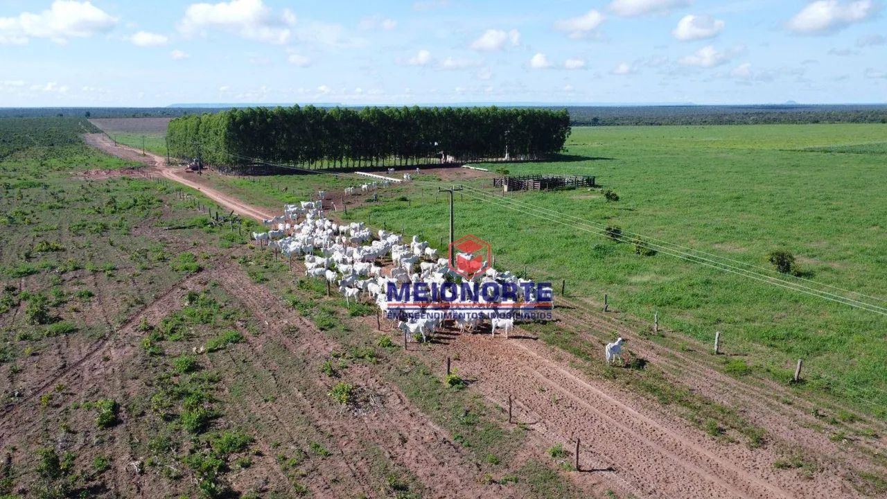 ## Fazenda à Venda ## - Foto 5