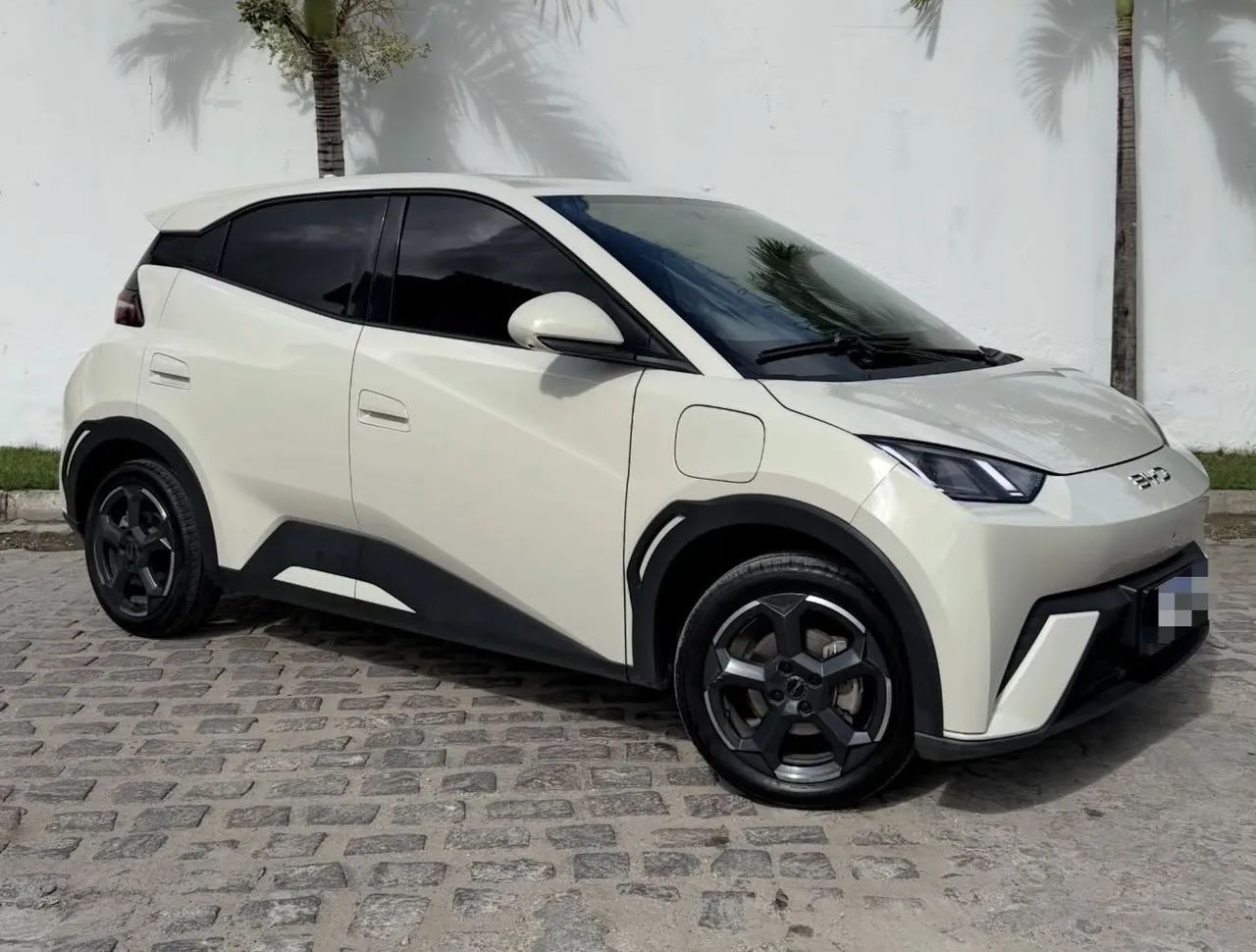 BYD Dolphin Mini (Elétrico) 2025 - Foto 2