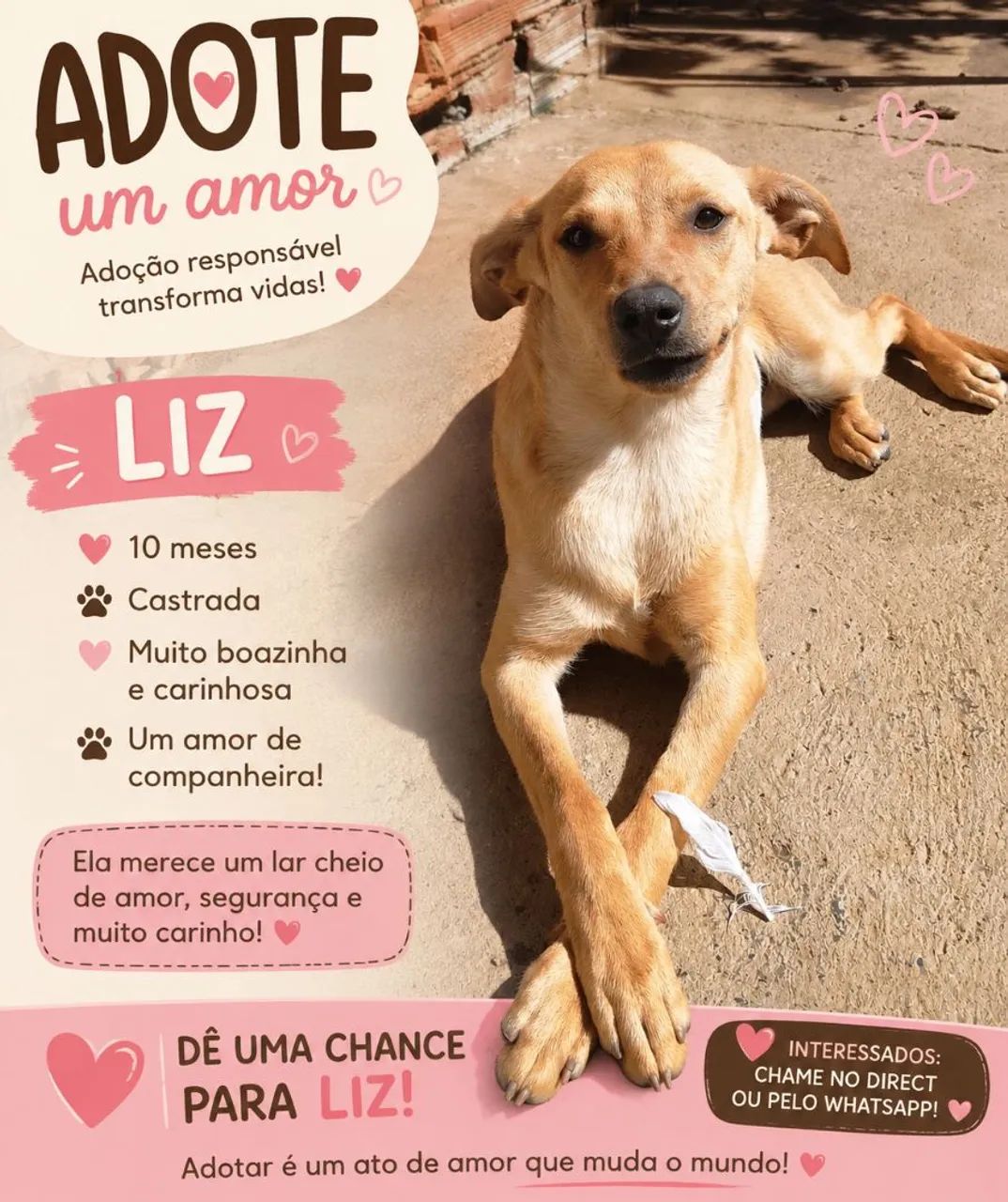 Liz