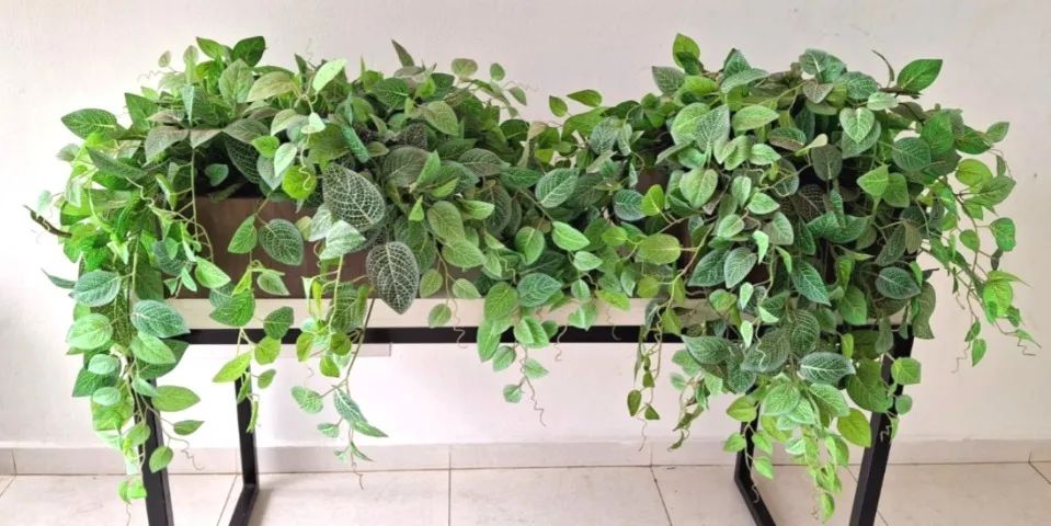 Conjunto com 2 Cachepôs de Madeira e Plantas Permanentes Jiboia