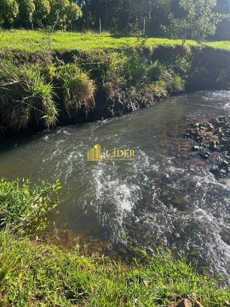 Fazenda à venda, AREA RURAL DE ARAGUARI - Araguari/MG - Foto 7