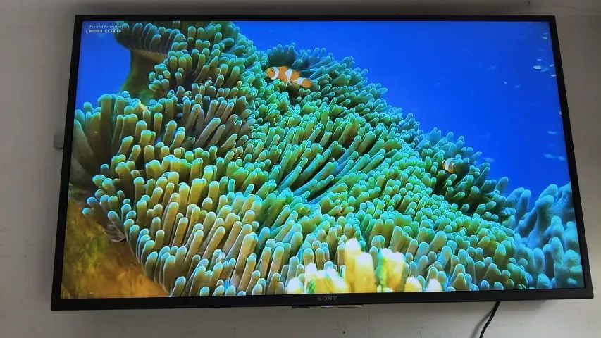 TV 49