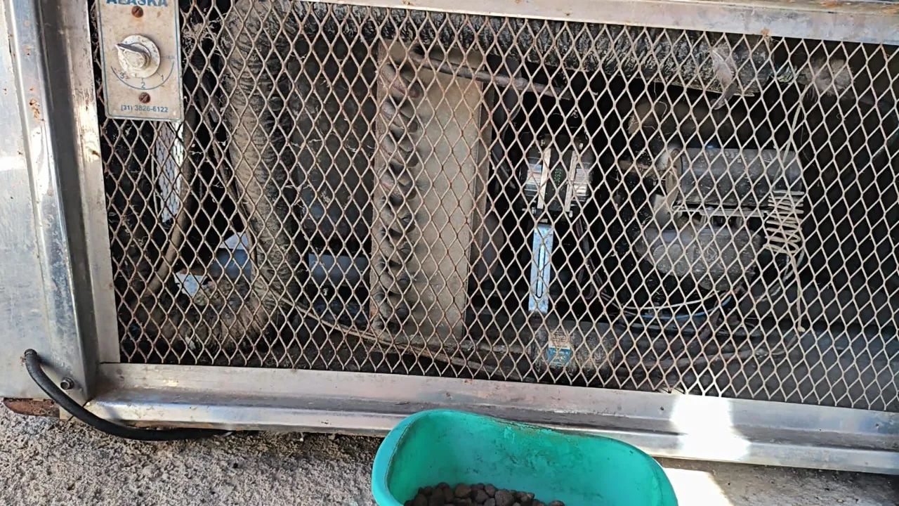 Freezer 1000L  - Foto 2