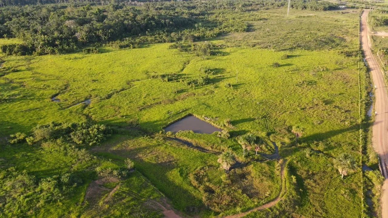 FAZENDA À VENDA - REGIÃO DO CANTÁ/RR - Foto 4