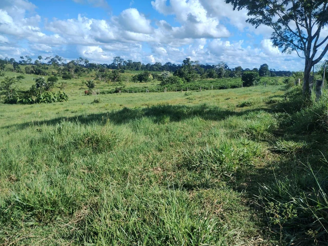 Terra a venda em Acrelândia/Ac - Foto 4
