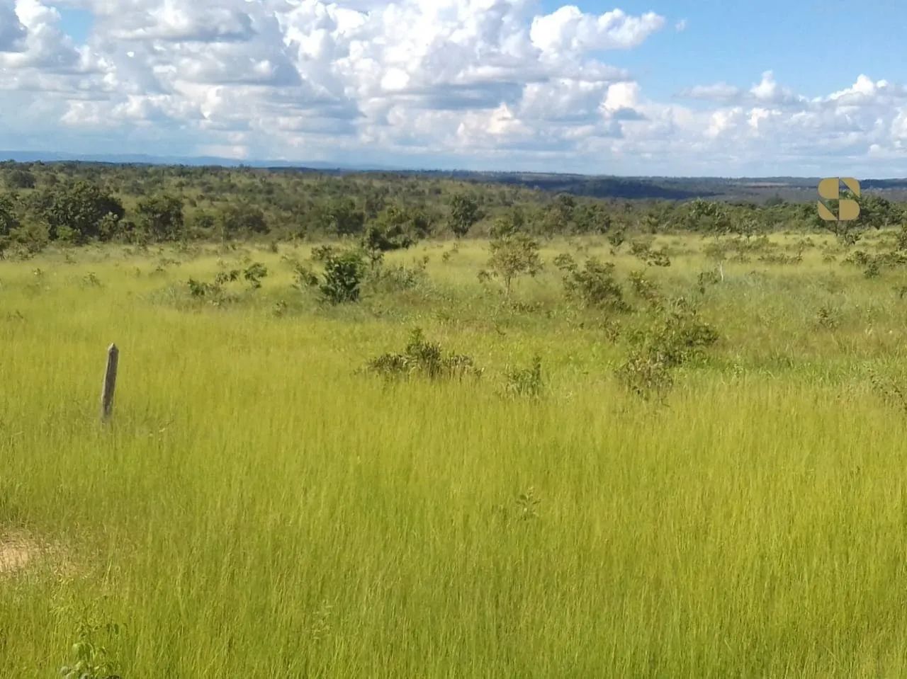 Fazenda em Poconé - Área Rural - Foto 5
