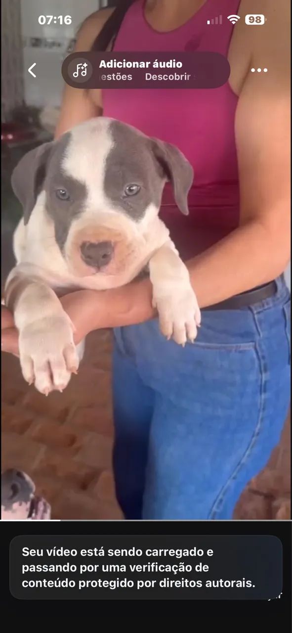 MACHO BLUE PIRATA DISPONÍVEL ? - Foto 2