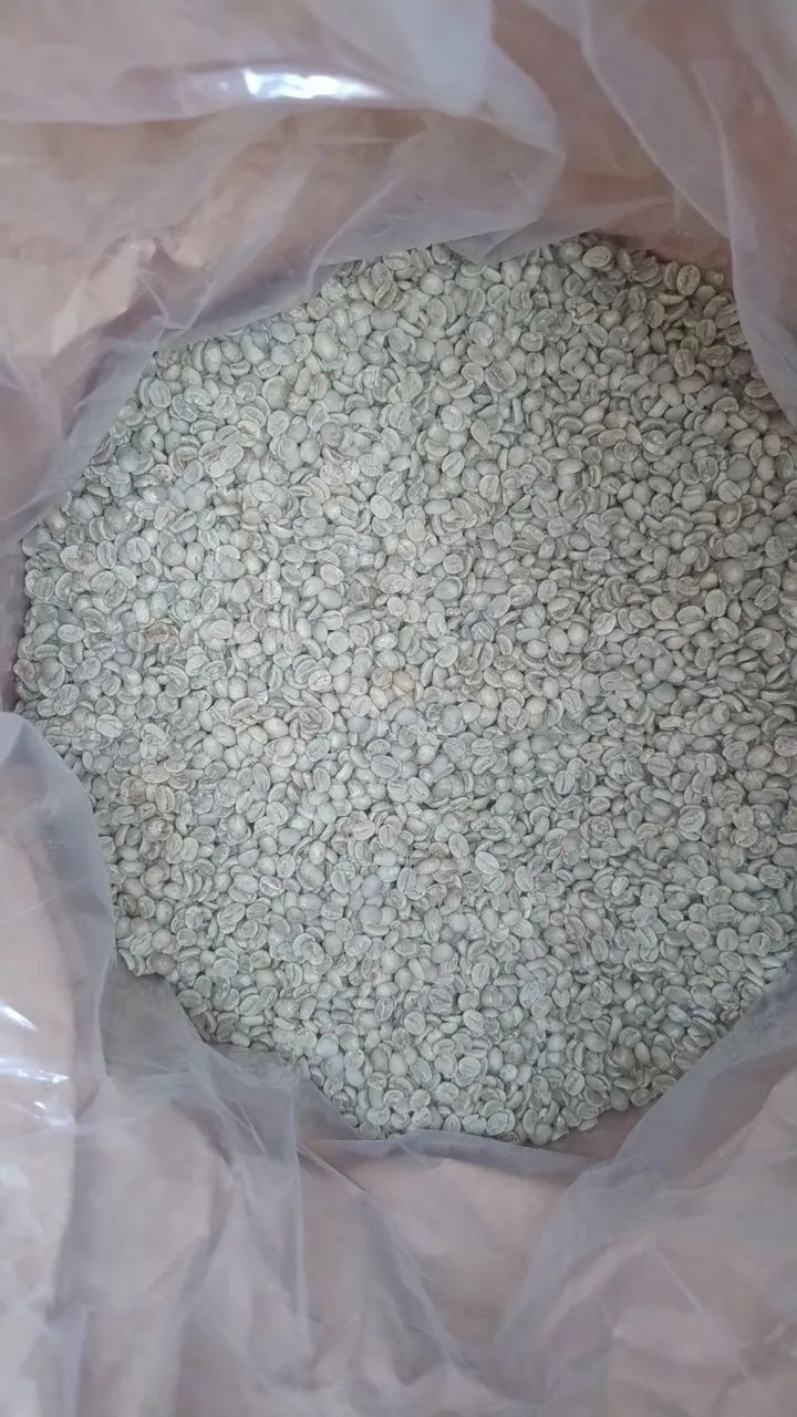 Café  Verde Especial  83 pontos!! 30kg leia o anuncio - Foto 4