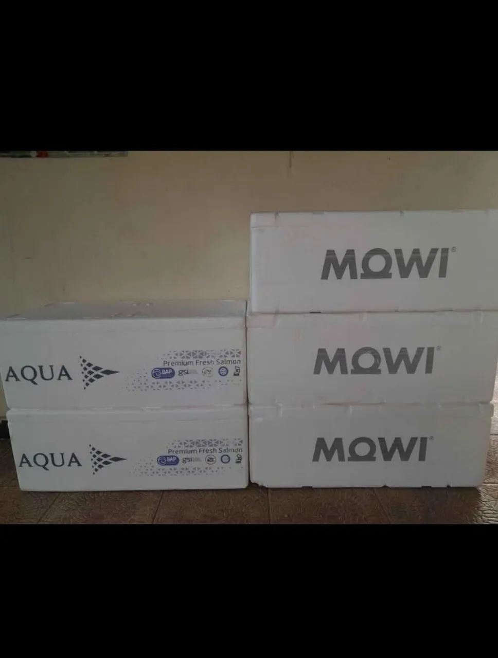 Caixa isopor R$ 25