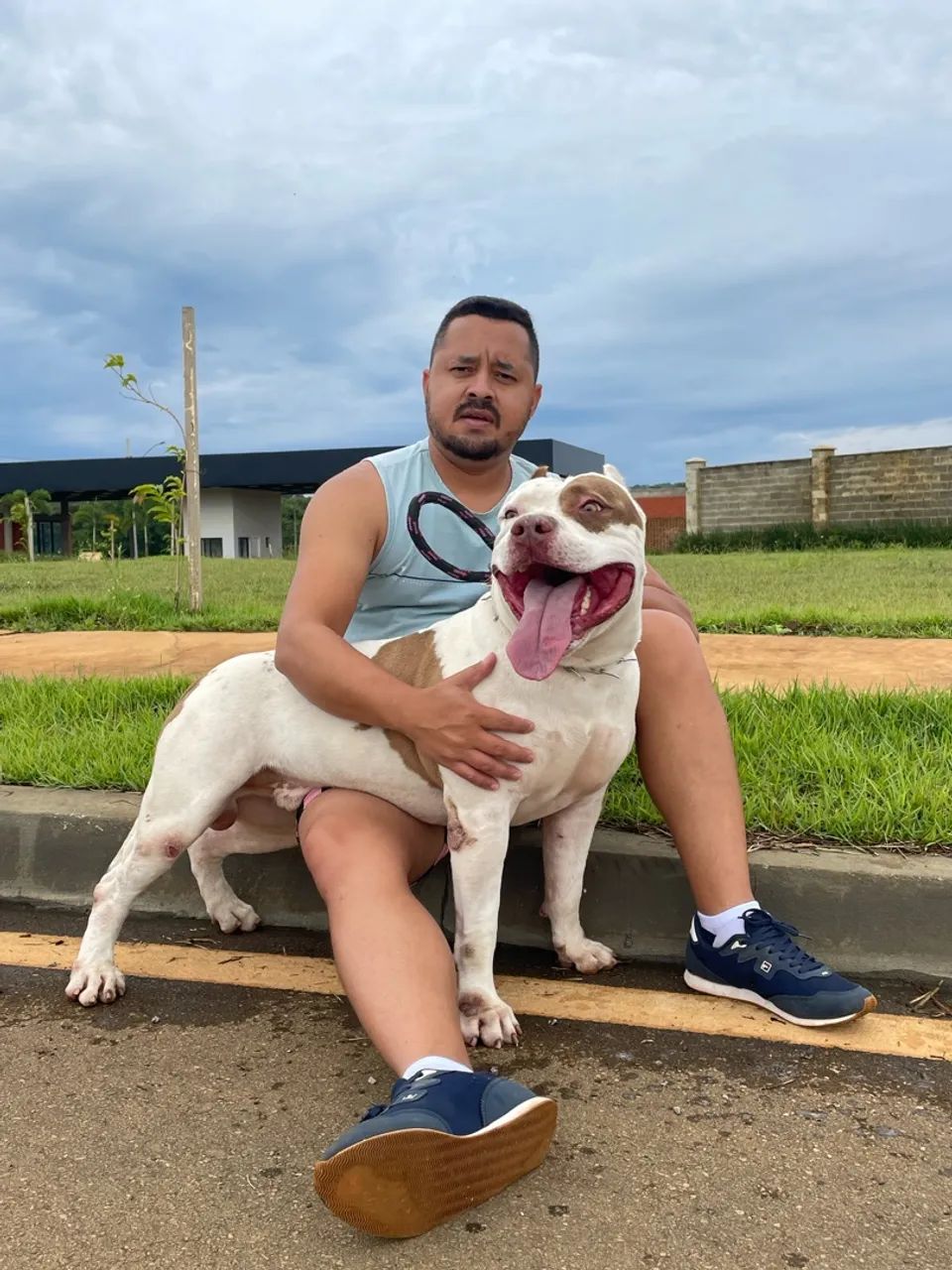 Pitbull para doação  - Foto 2