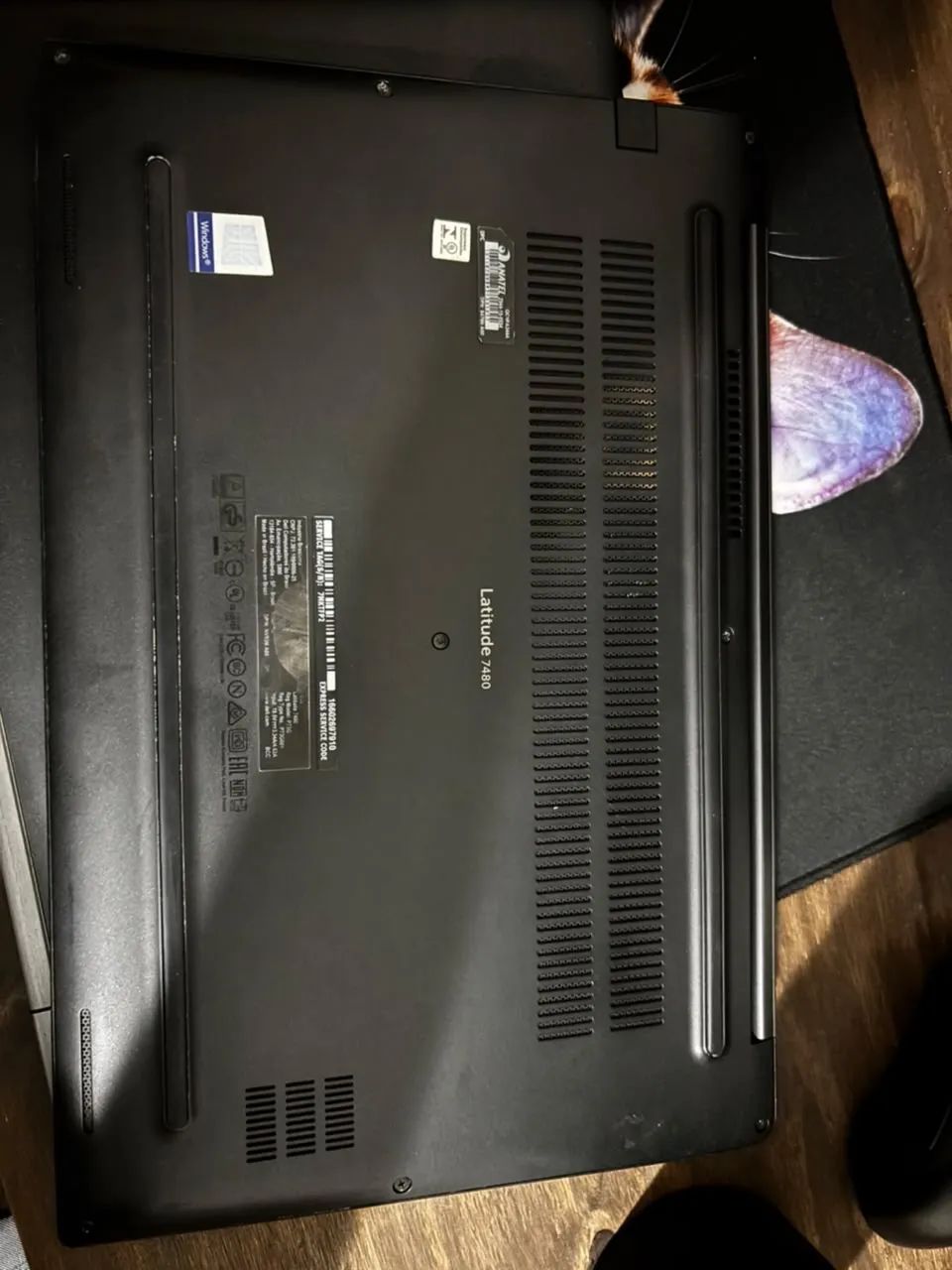 Notebook Dell - Foto 4