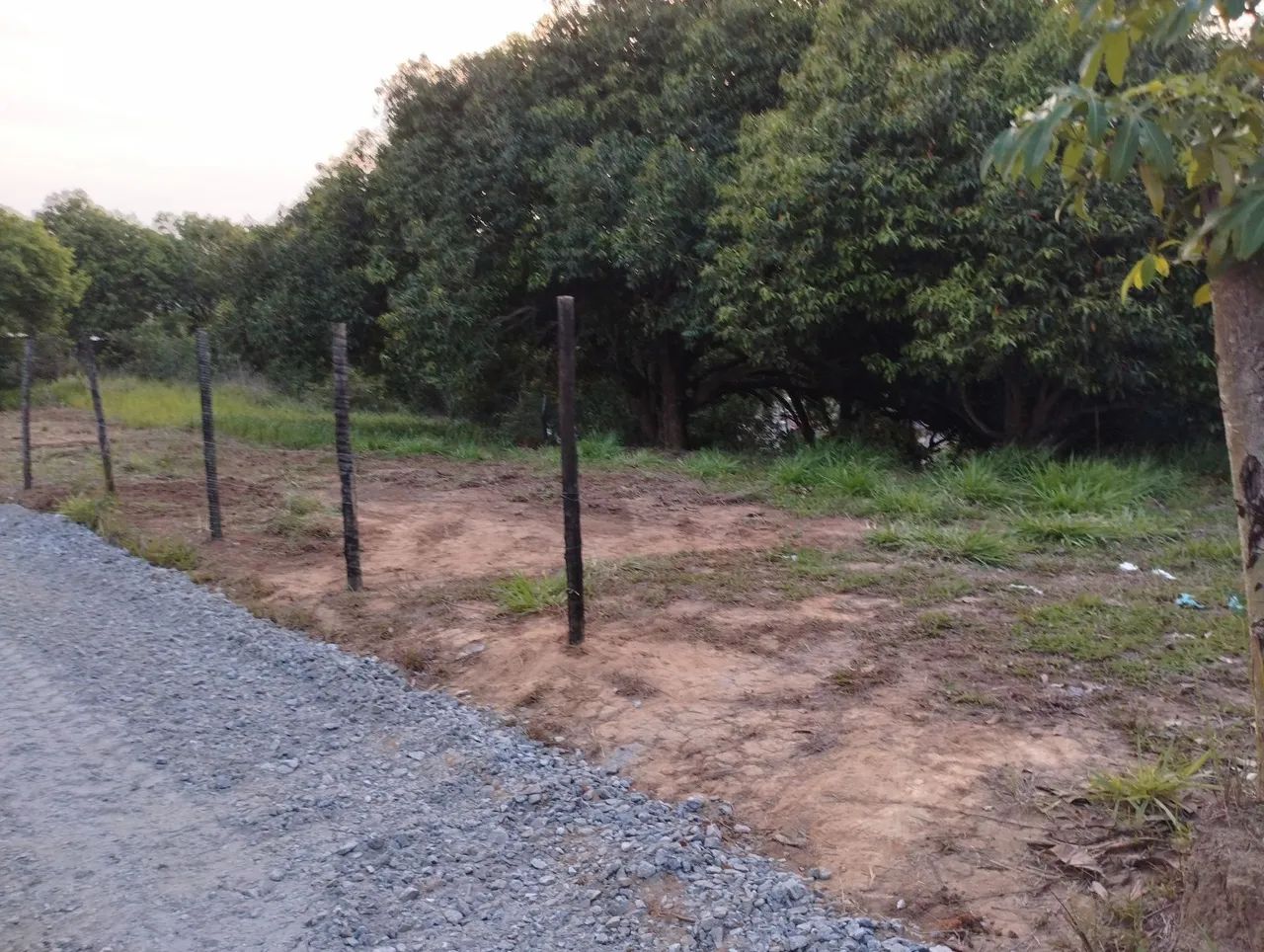 Vendo metade do lote - Foto 6