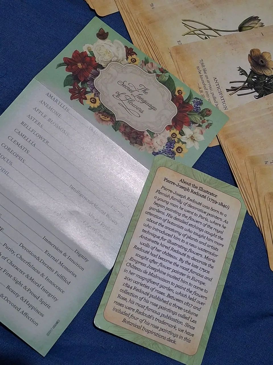 Oráculo Botanical Inspirations Botânico Baralho Cigano Tarot Taro - Foto 4