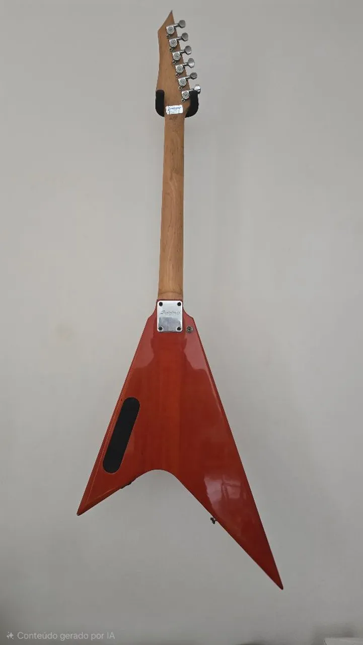 case flying v