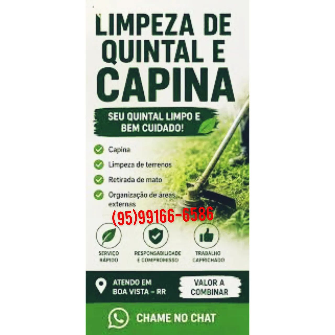 Capina se quintal brasileiro barato 