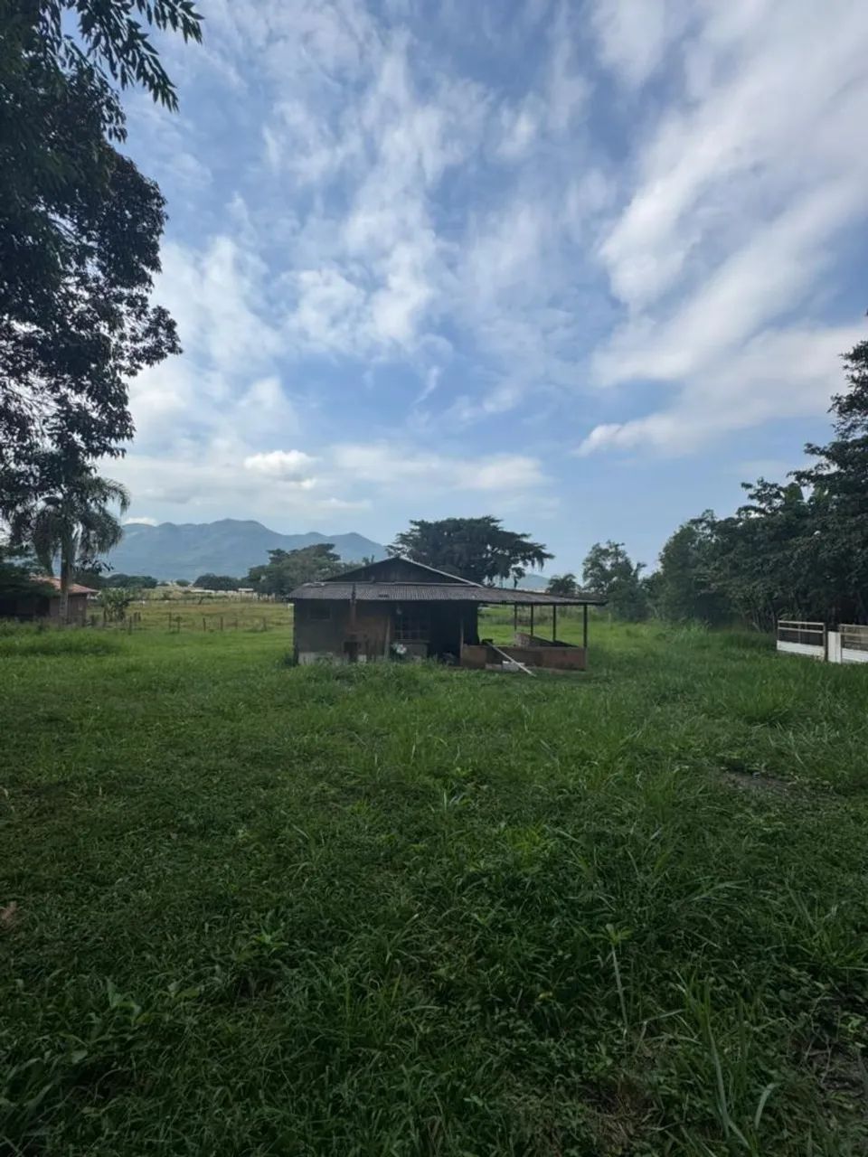 Sítio  - Foto 5