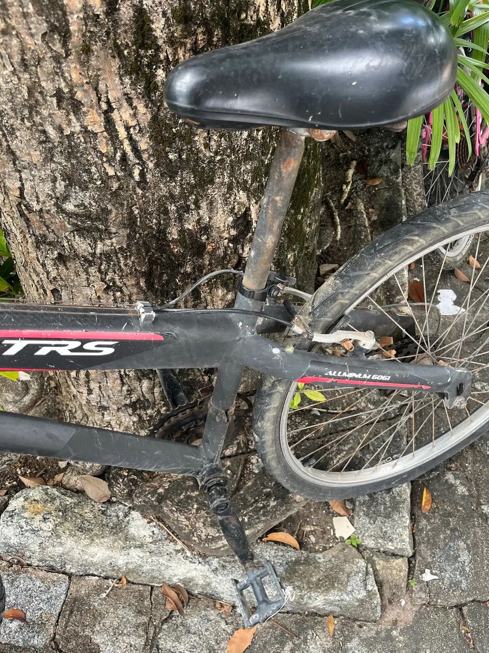 Bicicleta - Foto 3