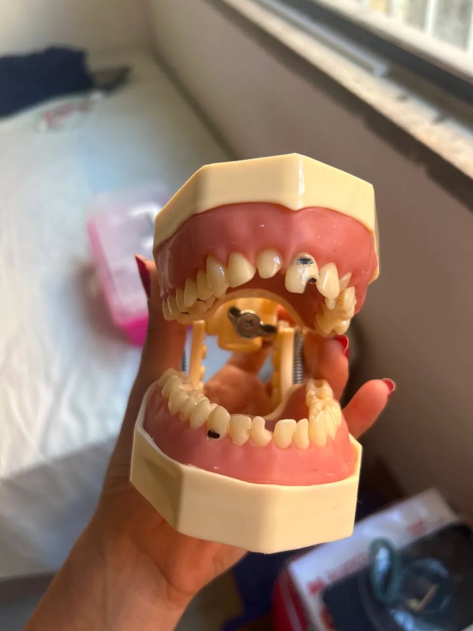 Manequim Dentário  - Foto 3