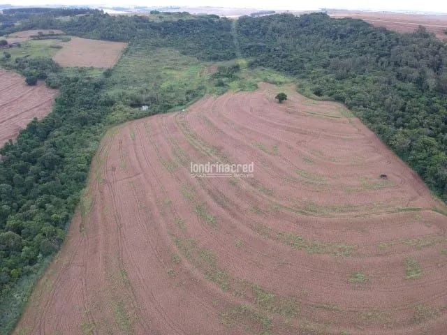 Terreno à venda Jardim Alvorada, Maringá - PR - Foto 2