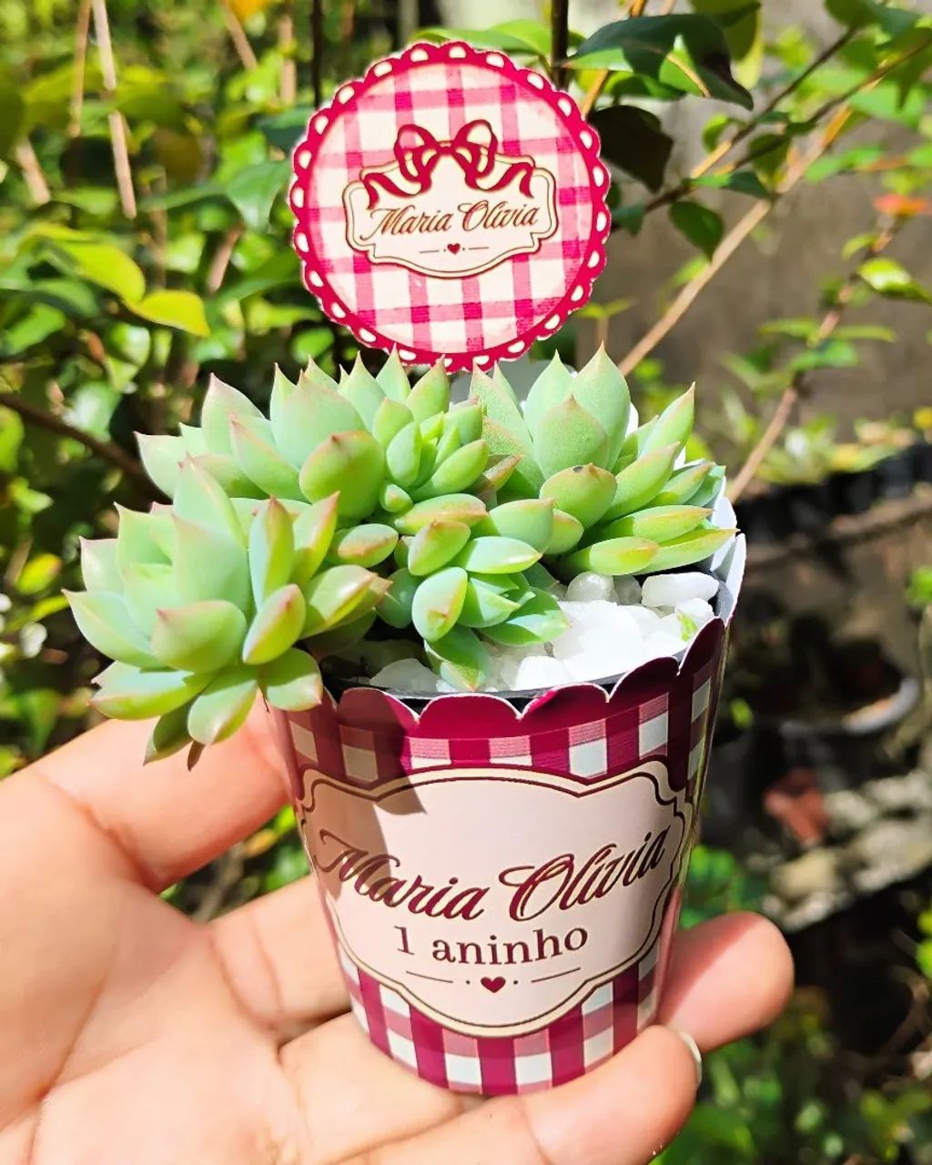 Lembrancinhas personalizadas com cactos e suculentas  - Foto 5